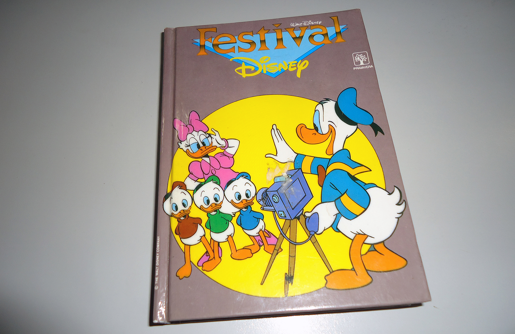 Festival Disney Nº 10