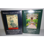 Romancero Gitano / Poeta en Nueva York / Llanto por Ignacio Sánchez Mejías (Edición Ilustrada) + Antología Poética de Antonio Machado