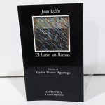 El Llano en Llamas