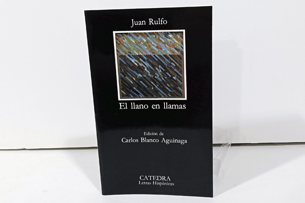 El Llano en Llamas
